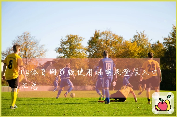 ng体育网页版使用说明及登录入口汇总