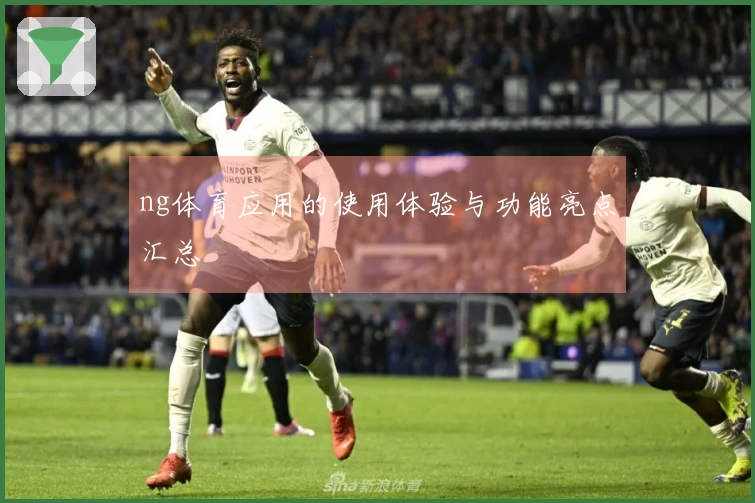 ng体育应用的使用体验与功能亮点汇总