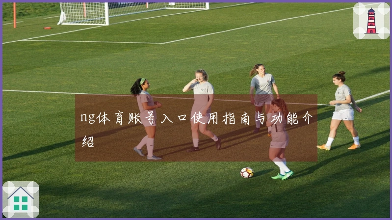 ng体育账号入口使用指南与功能介绍