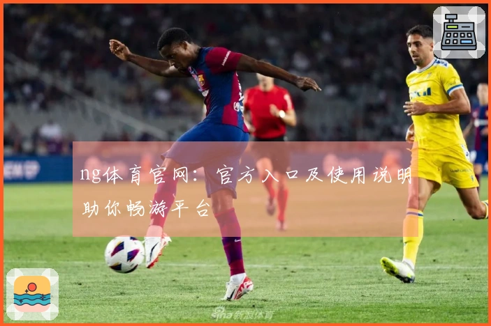 ng体育官网：官方入口及使用说明助你畅游平台