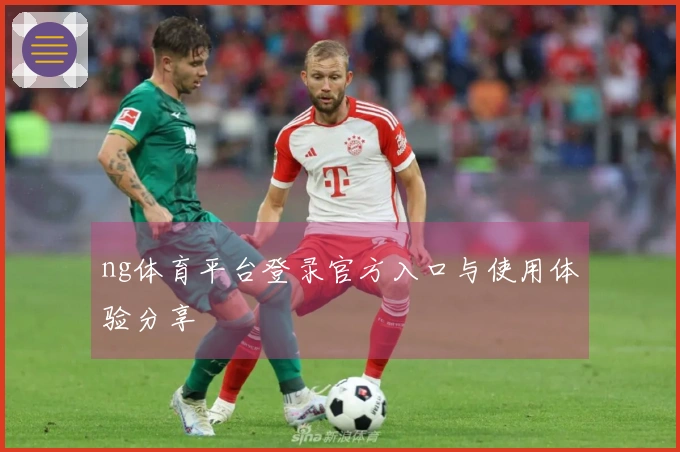 ng体育平台登录官方入口与使用体验分享