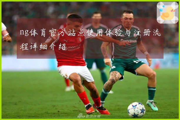 ng体育官方站点使用体验与注册流程详细介绍