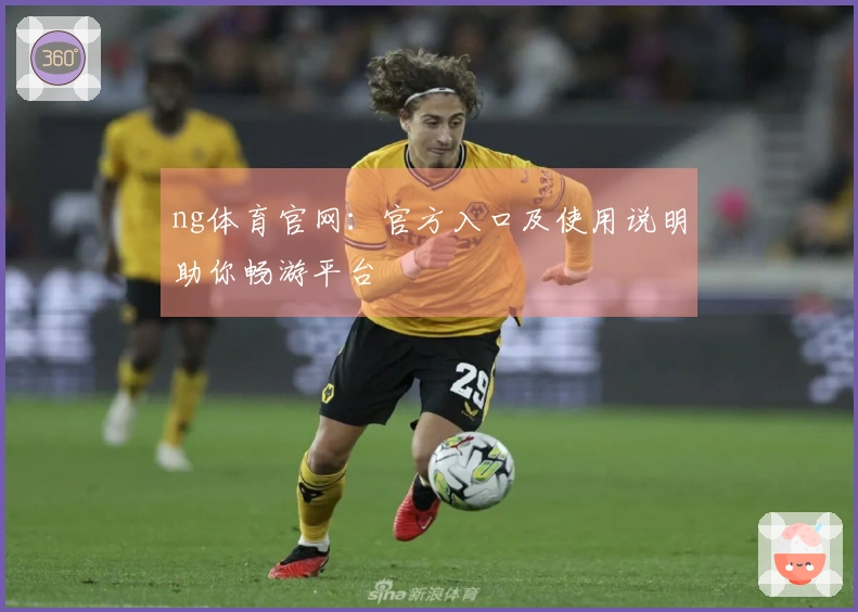 ng体育官网：官方入口及使用说明助你畅游平台