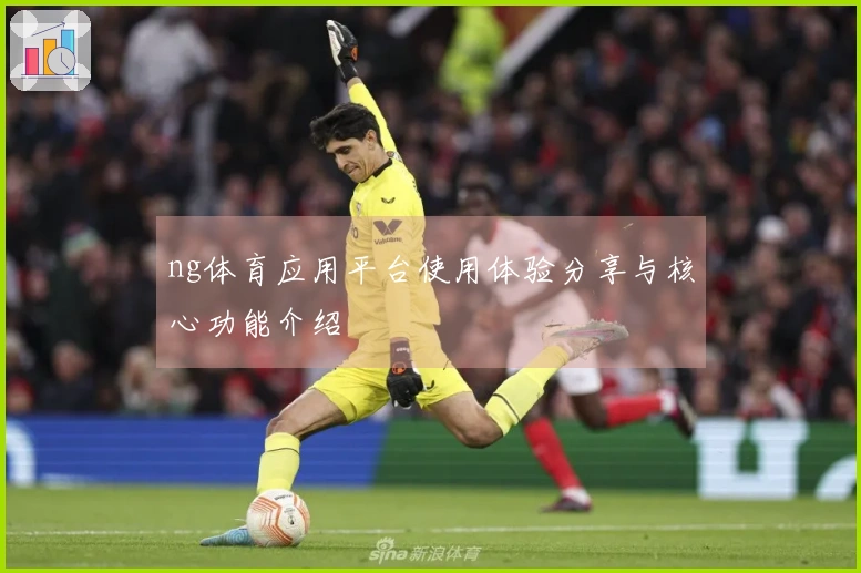 ng体育应用平台使用体验分享与核心功能介绍