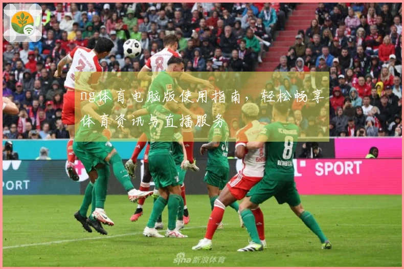 ng体育电脑版使用指南，轻松畅享体育资讯与直播服务