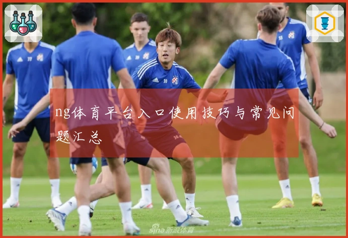 ng体育平台入口使用技巧与常见问题汇总