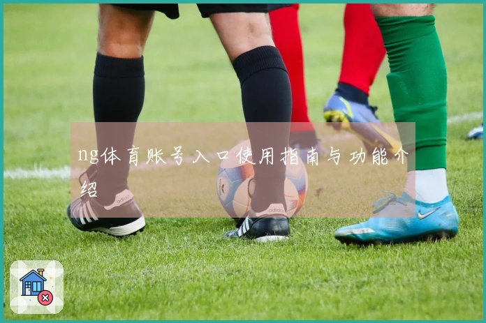 ng体育账号入口使用指南与功能介绍